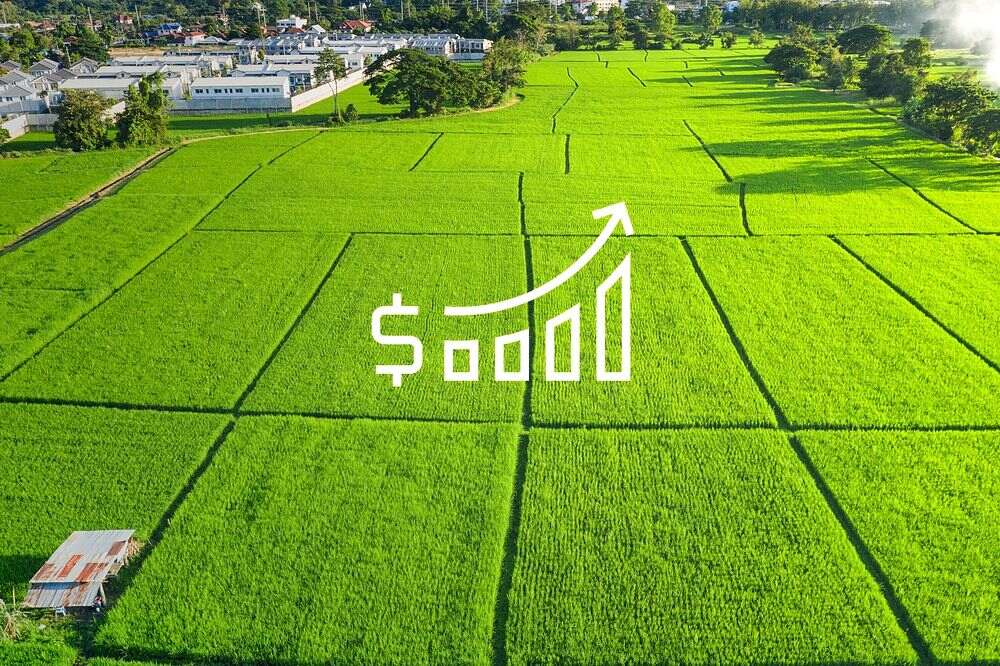 ¿Quién tiene preferencia a la hora de comprar una finca rústica?